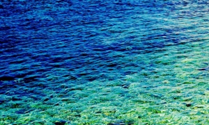 195 / 2013 - natural colors of blue and green © Gabor Suveg