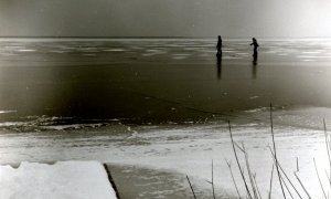 29 / 2013 - neusiedler on ice © Gabor Suveg