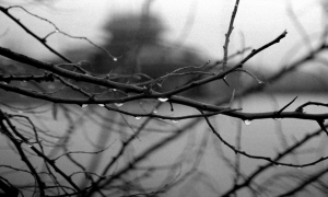 35 / 2013 - tomorrow rain © Gabor Suveg